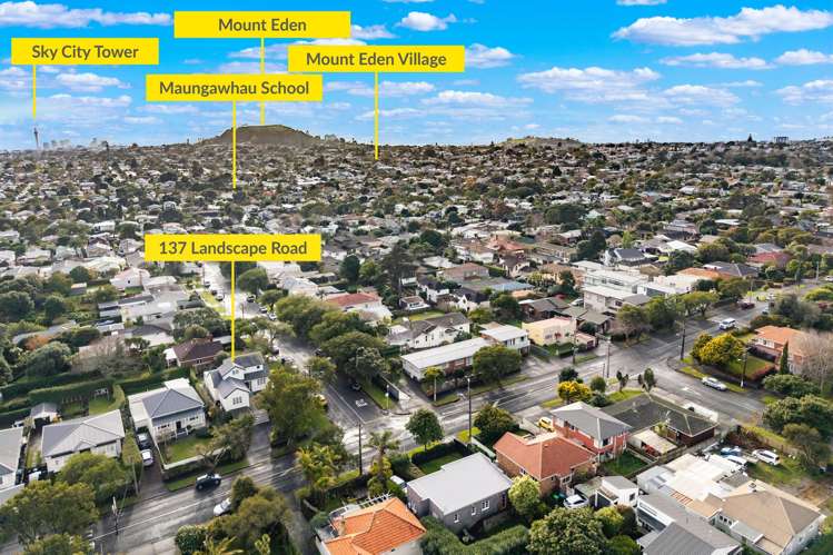 137 Landscape Road Mount Eden_16
