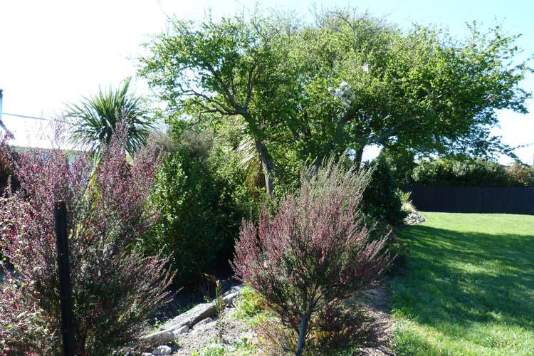 57 Wallace Street Featherston_1