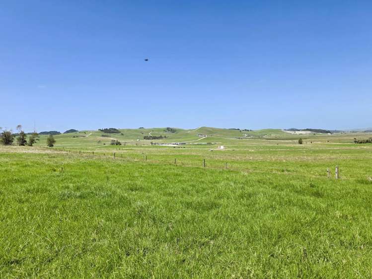 77 Molloy Road Ruawai_16