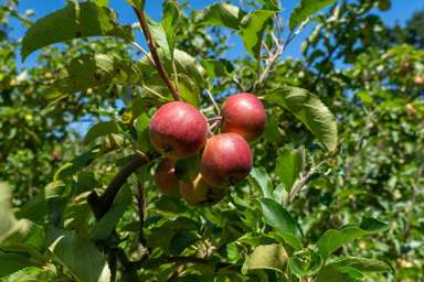 1191-1193 State Highway 1_3