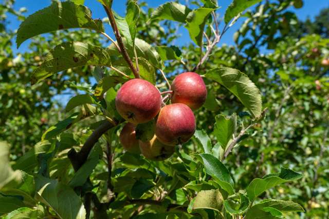 1191-1193 State Highway 1 Te Horo_3