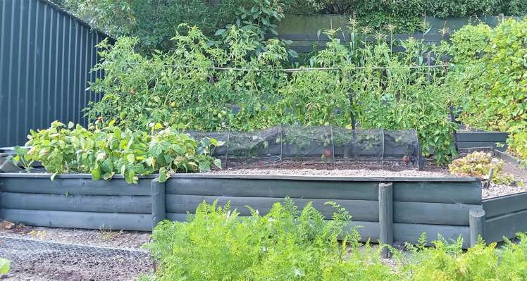 39 Kihilla Road Richmond_17