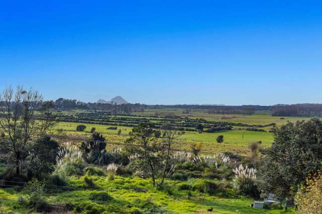 52 Manawahe Road Matata_4