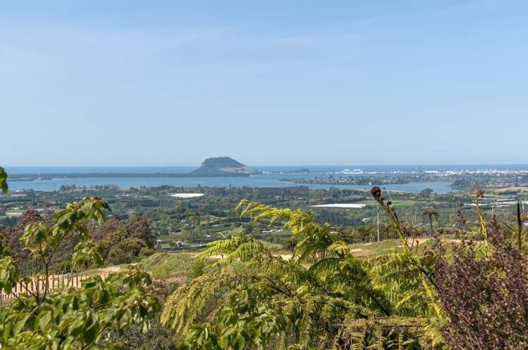 1 Pheasant Lane Wairoa_4