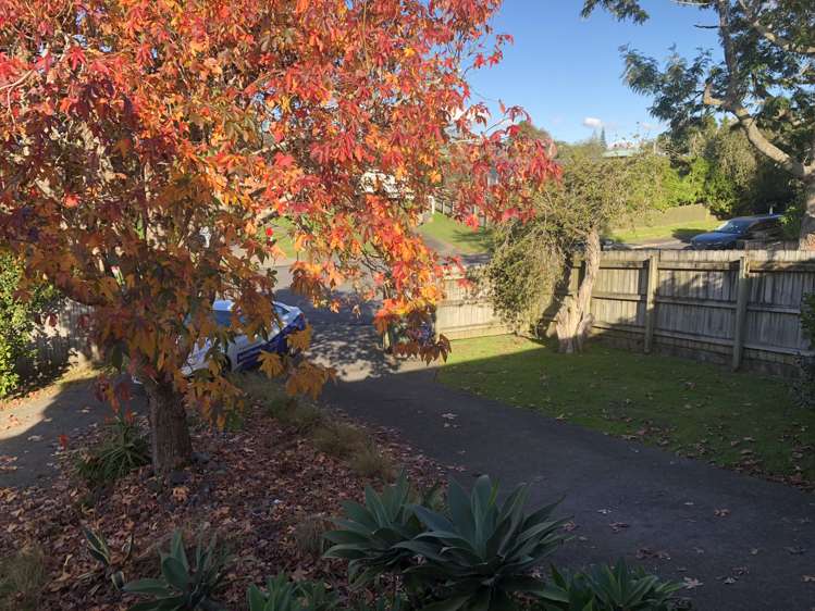 10 Packham Place Beach Haven_19