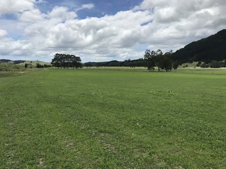 112 Mountain View Road Hikurangi_11