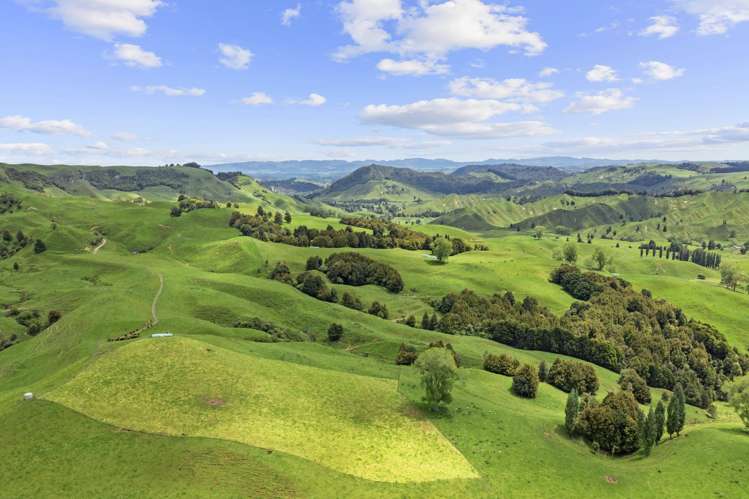 878 Mokauiti Road Aria_15