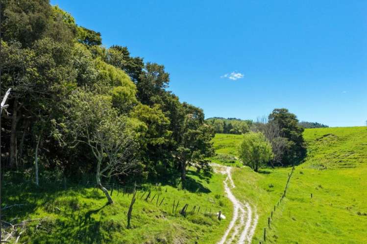 103 Mountain Road Kaiwaka_8