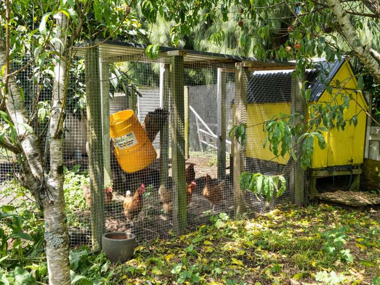 261 Wainui South Road Whakamarama_26