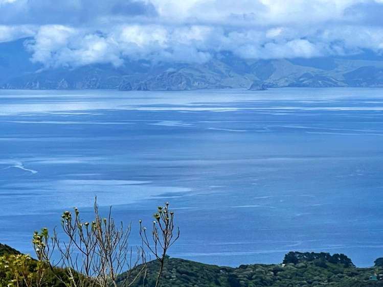 Parish of/3 Allotmen Schooner Bay Road Great Barrier Island_5