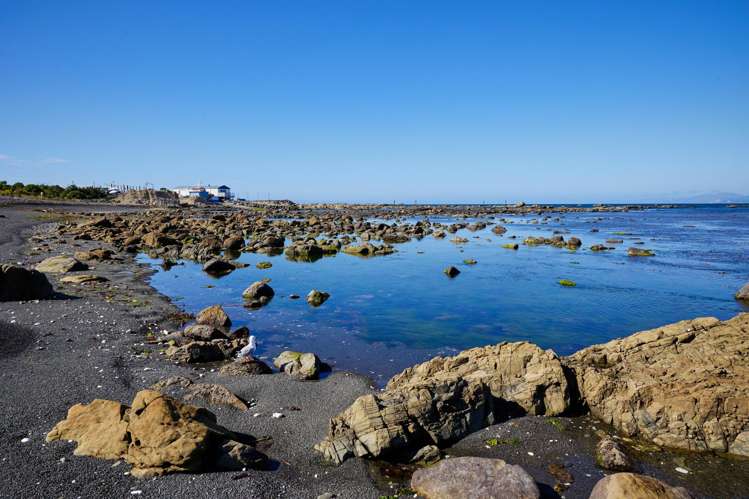 142 South Bay Parade Kaikoura_13