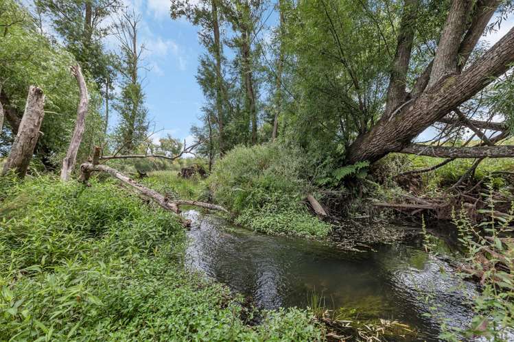 Lot 3 Moorey Lane Otaika_13