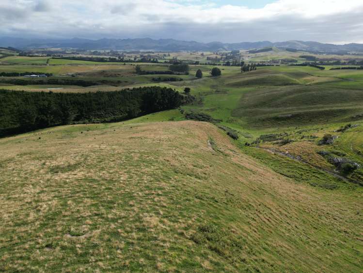 3/220 Taieri Peak Road Palmerston_7