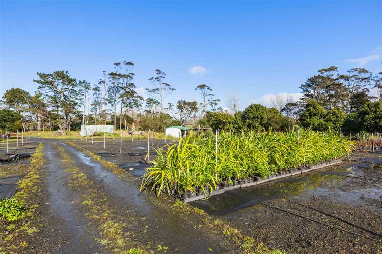 1285 Dairy Flat Highway Dairy Flat_30