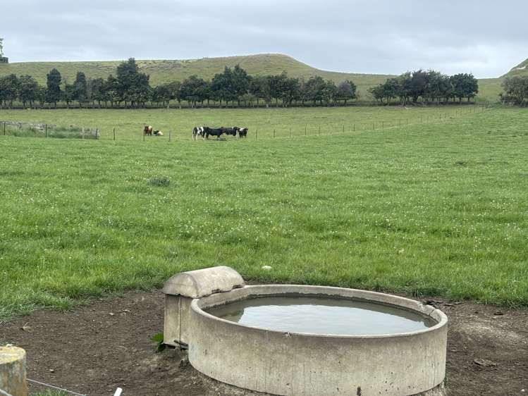 518 Elephant Hill Road Waimate_13