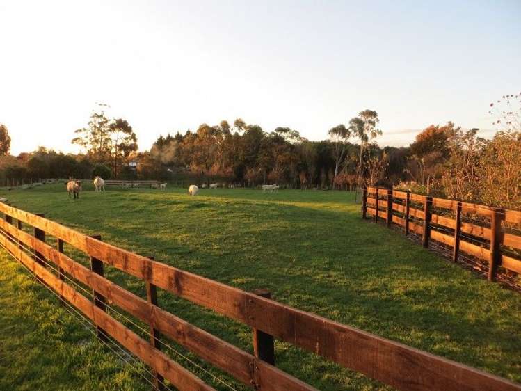 55a Parrs Road Bunnythorpe_22