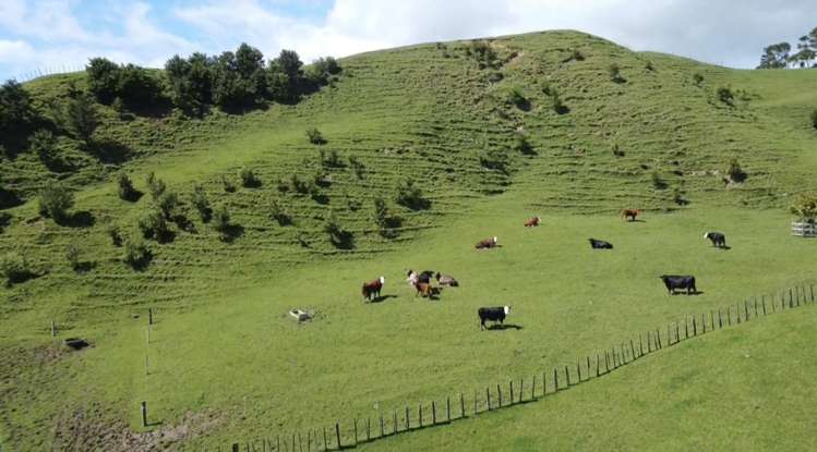 965 Te Waitere Road Waitomo_11