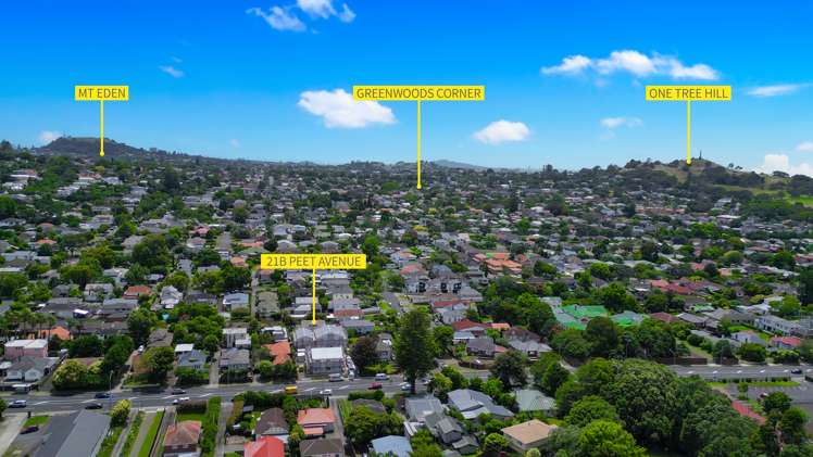 21b Peet Avenue Royal Oak_20