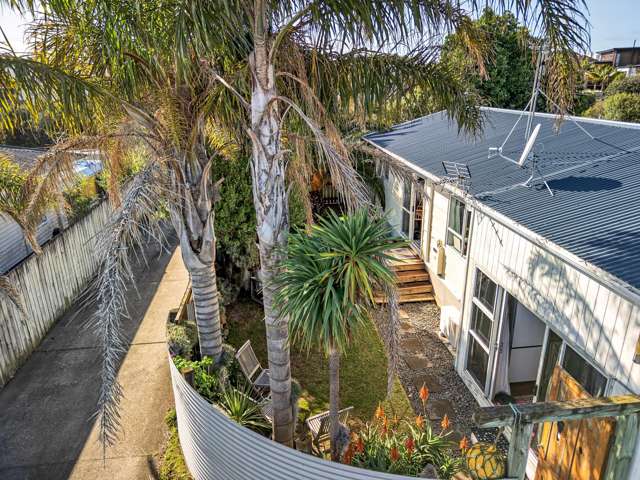 45 Paterson Street Mount Maunganui_2