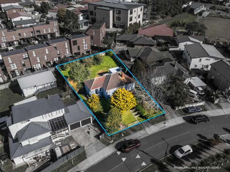 58 Freeland Avenue Mount Roskill_0