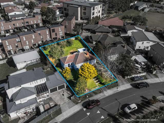 DEVELOPMENT POTENTIAL IN THE HEART OF MT ROSKILL