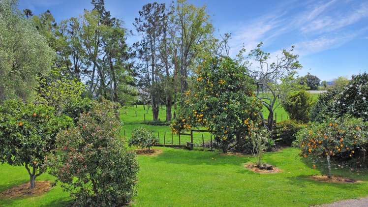 4 Murphy Road Awakeri_23