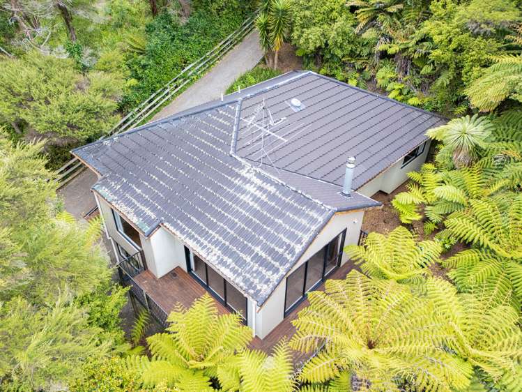 147b Colwill Road Massey_6