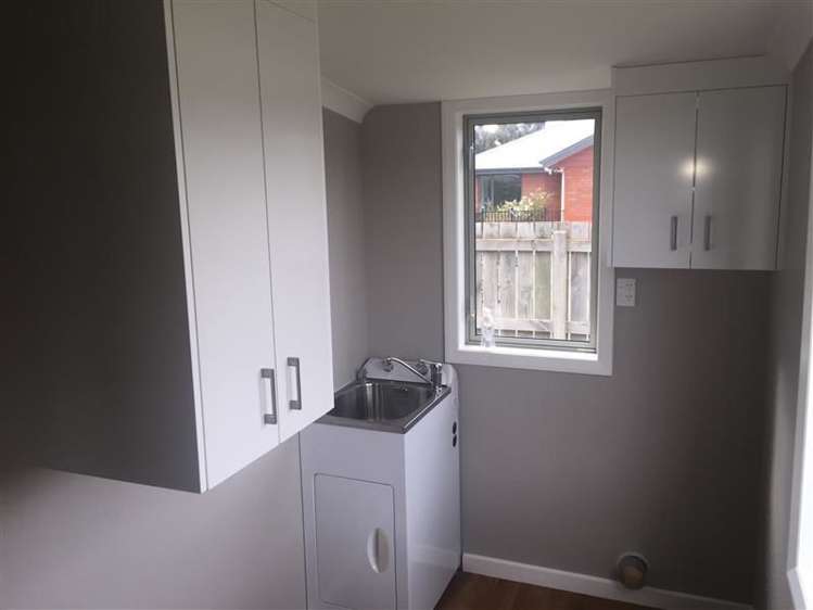 32 Alma Street Renwick_13