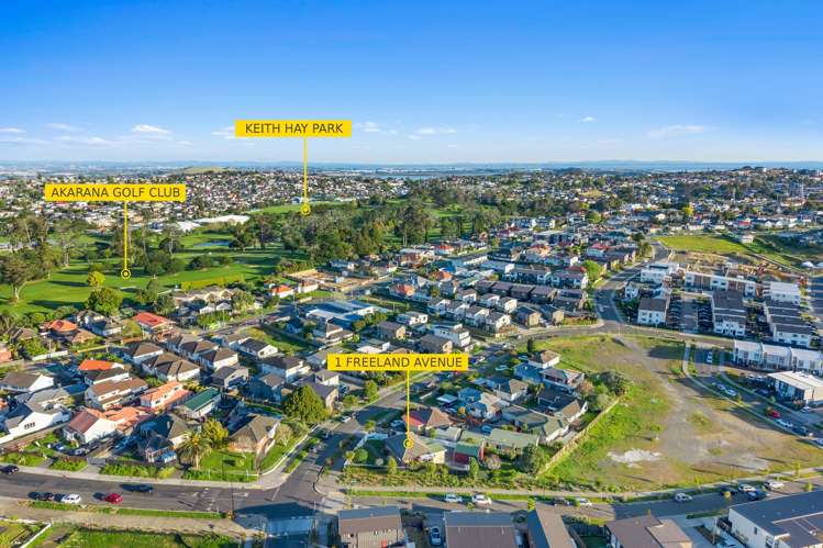 1 Freeland Avenue Mount Roskill_15