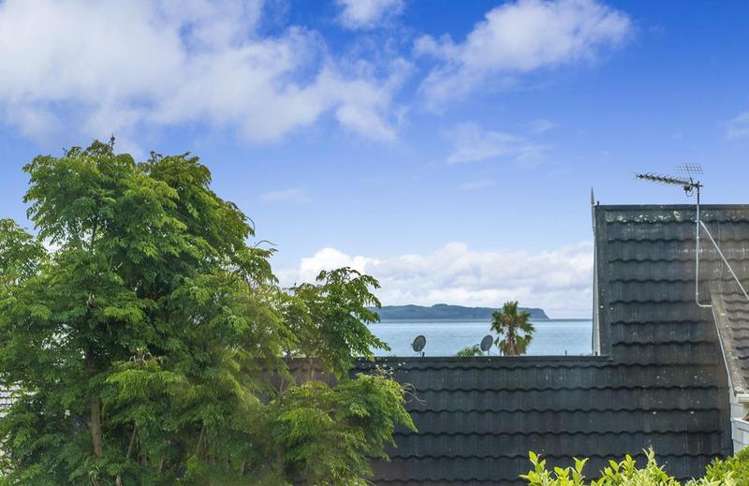 11a Saltburn Road Milford_14