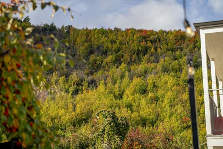 20A Cornwall Street Arrowtown_20