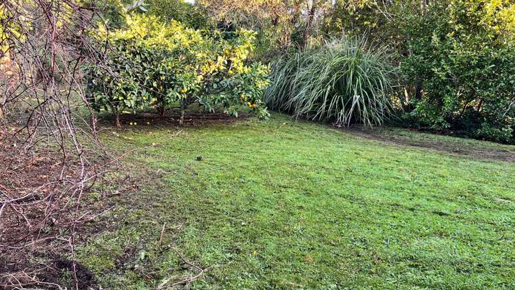 62 Dale Road Raumati South_21