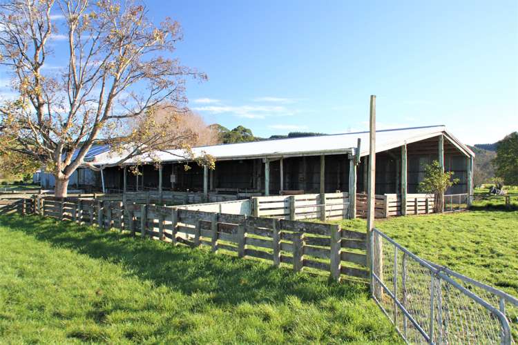 304 Lillburn Valley Road Tuatapere_20