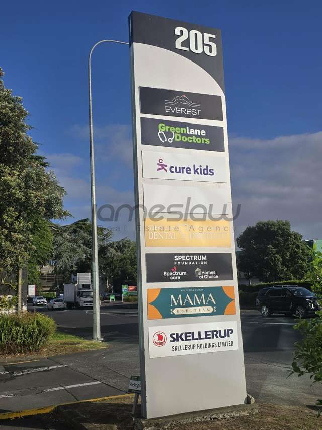 Level 3/205 Great South Road Greenlane_2