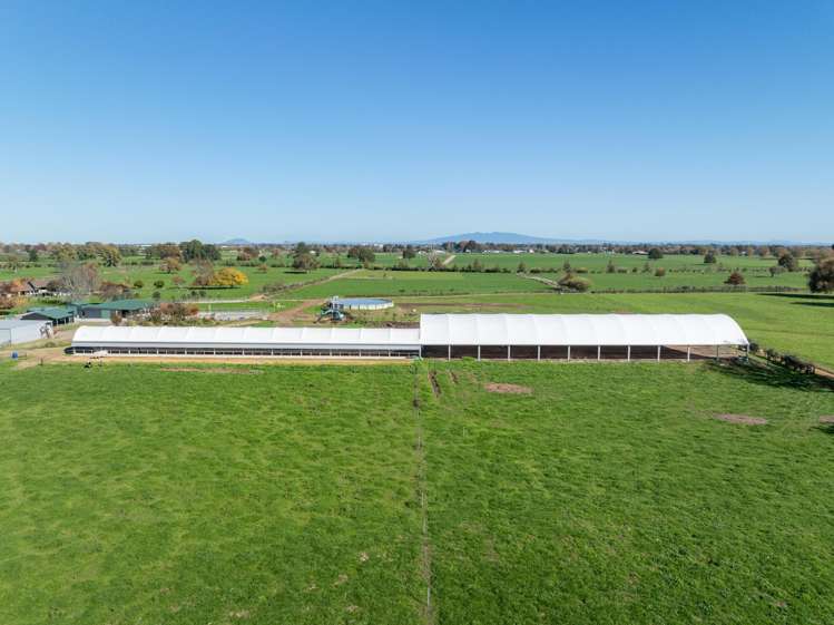 133 Flume Road Te Miro_18