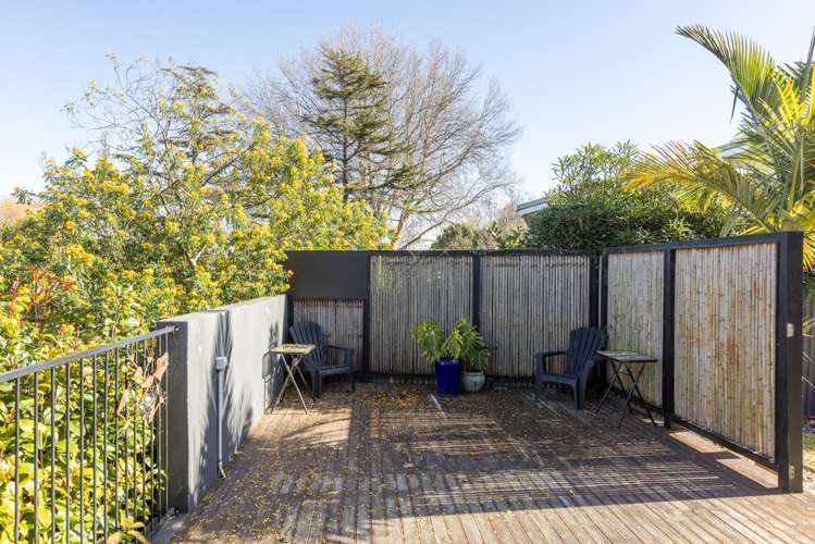 46a Logan Avenue Marewa_18