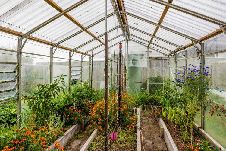 13 Carthew Street Okato_22