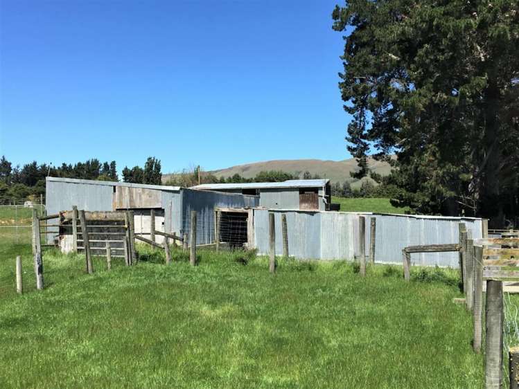 308 Waiwera Station Road Clinton and Surrounds_18