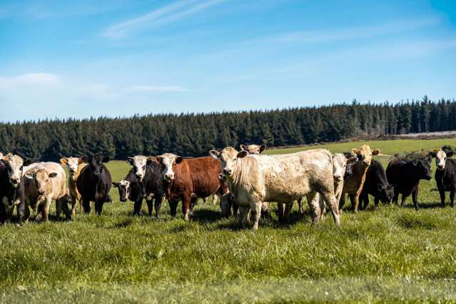 419 Cross Road Dacre_2