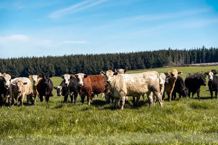 419 Cross Road Dacre_2