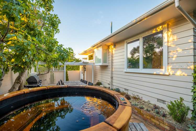 52a Fifeshire Crescent Stepneyville_19