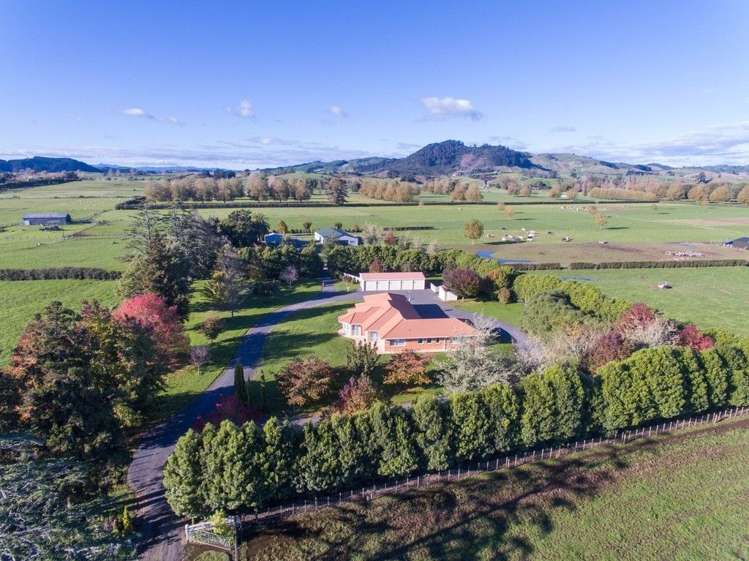 297 Bellevue Road Matangi_2