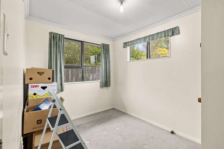 7 Pain Street Bulls_10