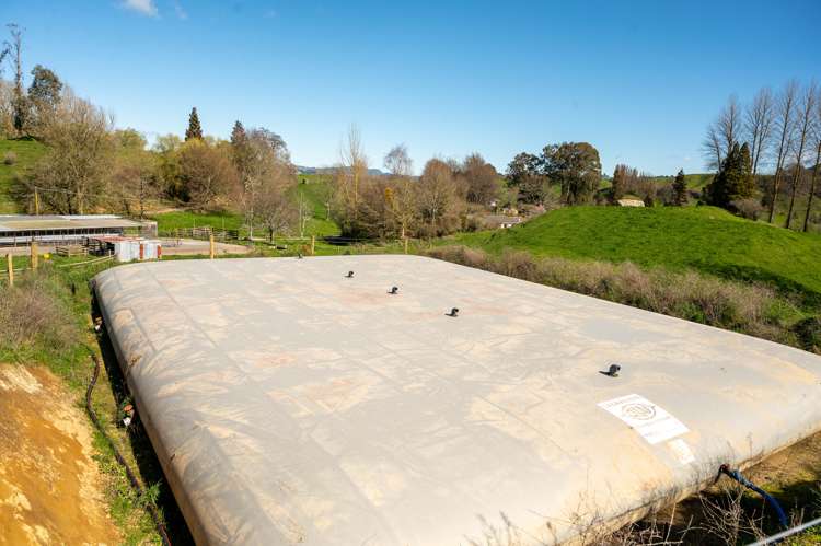 145 Totara Road Ngakuru_13