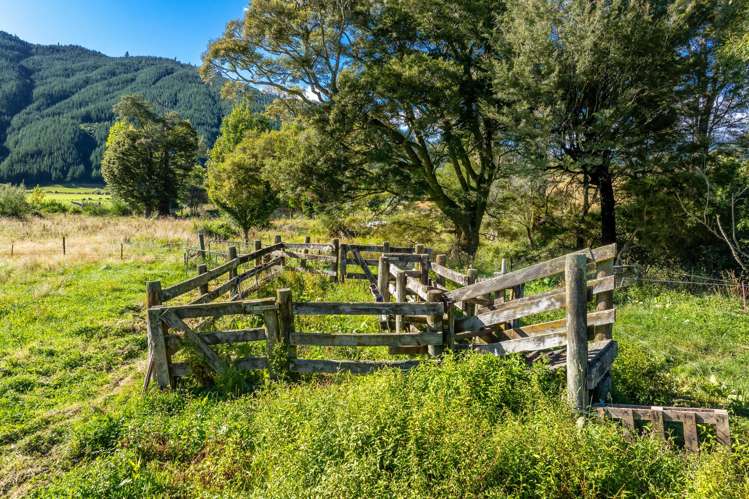 546 Onamalutu Road Onamalutu_23