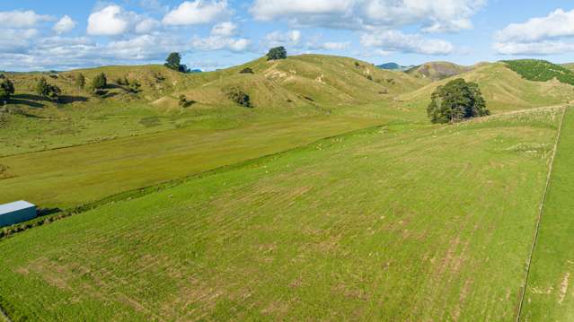Kaitawa Road Pahiatua_2