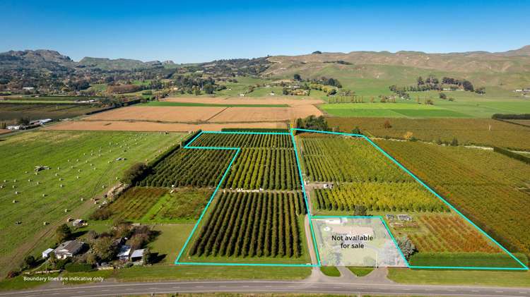 83 Mount Erin Road Havelock North_11