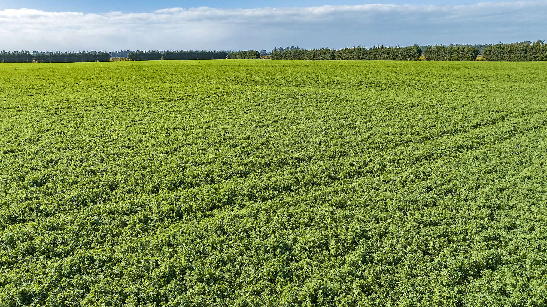 Thompsons Road West Melton_0