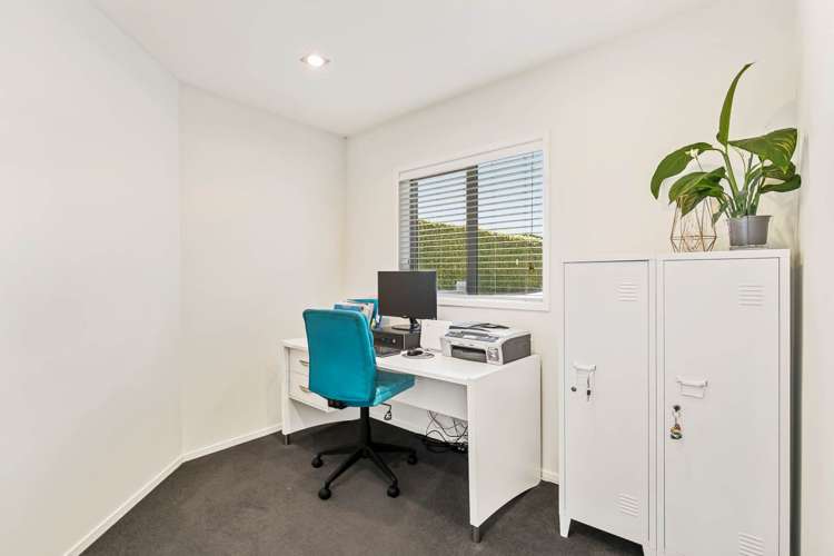 26a Powell Street Avondale_9