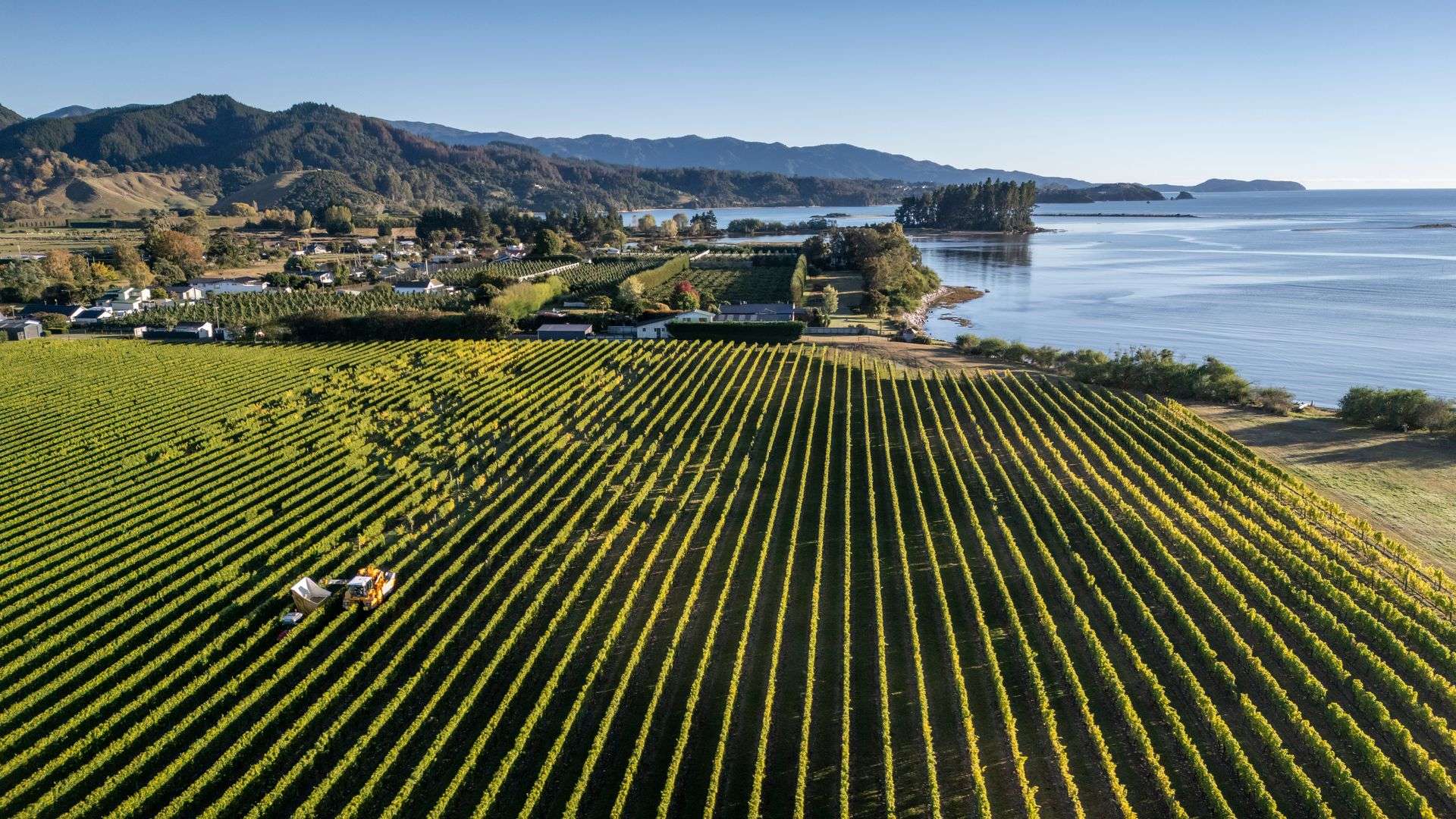 146 Lodder Lane Riwaka Motueka_0